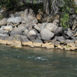 Senate's First Spending Bill Expected to Advance Without Major Conservative Policy Rider