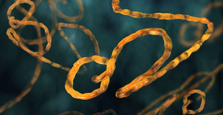 What World Health Organization Did Wrong On Ebola Response