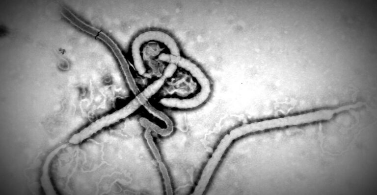 On Ebola, Obama Gets an F
