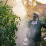 Pesticides and the Fight for America’s Health