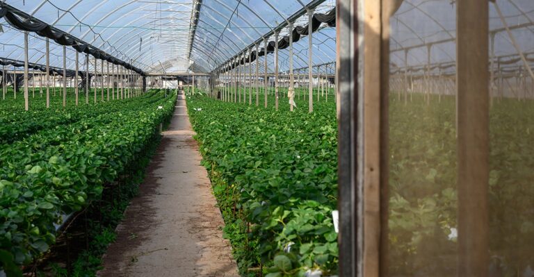 This Israeli Community Experienced a Miracle on Oct. 7.  Now, It Needs Helping Hands.
