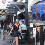 The Disinformationists