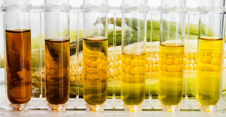 5 Things Americans Should Know About the Renewable Fuel Standard