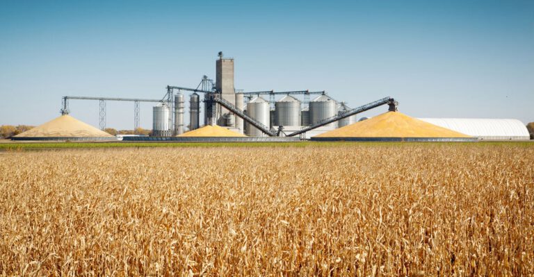 The Ethanol Mandate Promotes Swamp Dominance, Not Energy Dominance