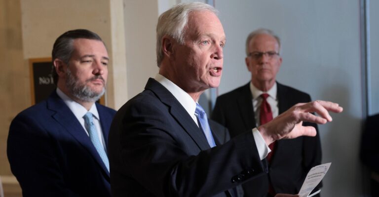 ‘MORALLY REPREHENSIBLE’: Senators Rip FEMA on Poor Handling of Illegal Immigrant Travel