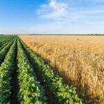 The 'Reverse Robin Hood Effect' of Farm Handouts