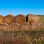 Biden Adopted Vague ‘30 by 30’ Conservation Plan From ‘Radical Environmental Groups,’ Nebraska Governor Says