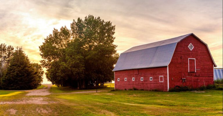 Critical Amendments for the House Farm Bill