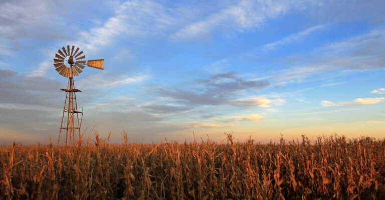 Rejecting Much-Needed Reforms, Agriculture Committee’s Farm Bill Favors Status Quo on Costly Subsidies