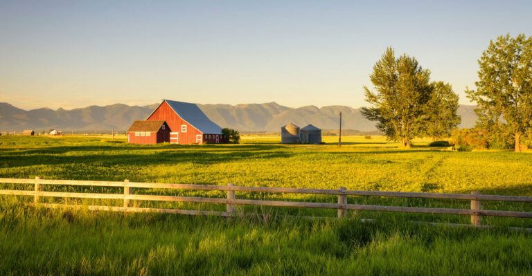 A Conservative Farm Bill Must Include Major Subsidy and Regulatory Reforms