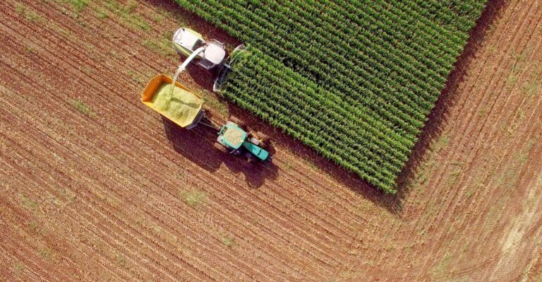 Farm Subsidy Apologists Are Painting a Misleading Picture. Here Are the Facts.