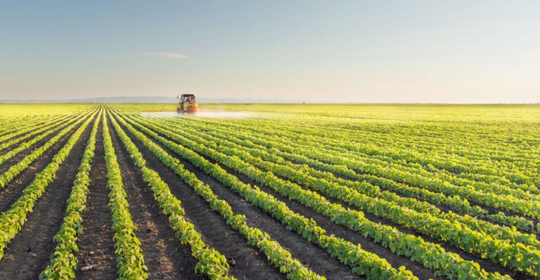 7 Signs the Upcoming Farm Bill Will Contain Disastrous Subsidies