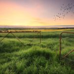 I'm From a Family of Farmers. Here's What Trump Has Done for Our Industry.