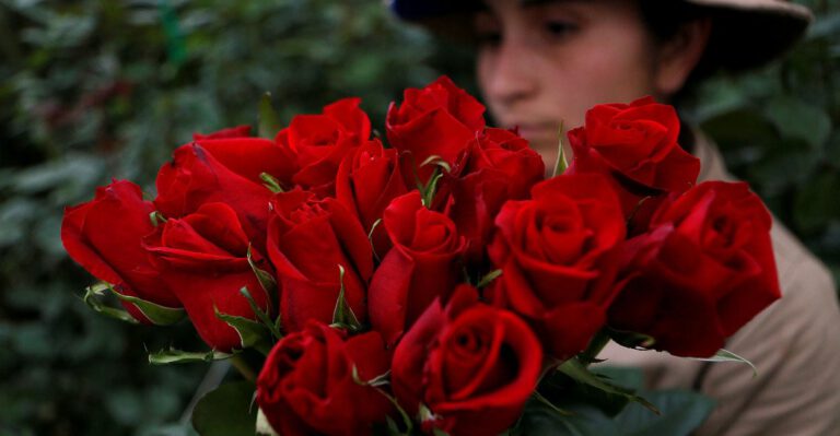 Colombia Is Helping You Spread Love This Valentine’s Day