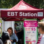Unraveling the Damage Done by Our Welfare System