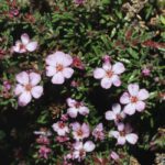 This ‘Endangered Species’ Story Was Government-Sponsored Fake News