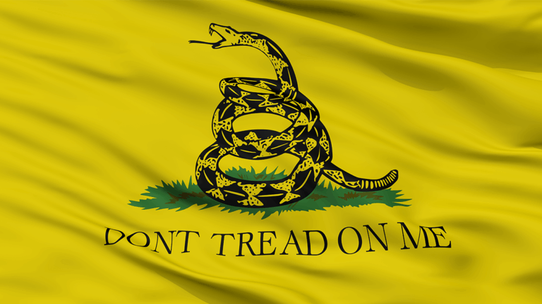 Colorado School Kicks Out Student for Wearing ‘Don’t Tread on Me’ Flag Patch