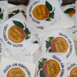Georgia Board OKs Rule to Match Vote Count With Number of Voters. The Left Objects.