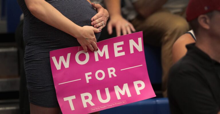 The Partisan Divide in Sinking US Birth Rates