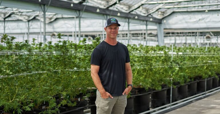 The Illegal, Democrat-Linked Pot Farm the Left Wants You to Ignore