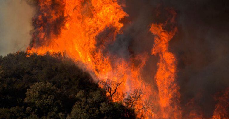 Trump Proposes Actions to Help Prevent Catastrophic Forest Fires