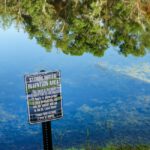 Some States Abuse This Provision to Block Critical Projects. Here’s What Congress Can Do.