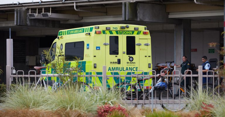 New Zealand Mosque Shootings Take at Least 49 Lives