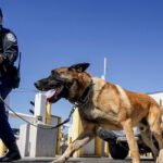 Securing the Border and Fixing Our Broken Immigration System