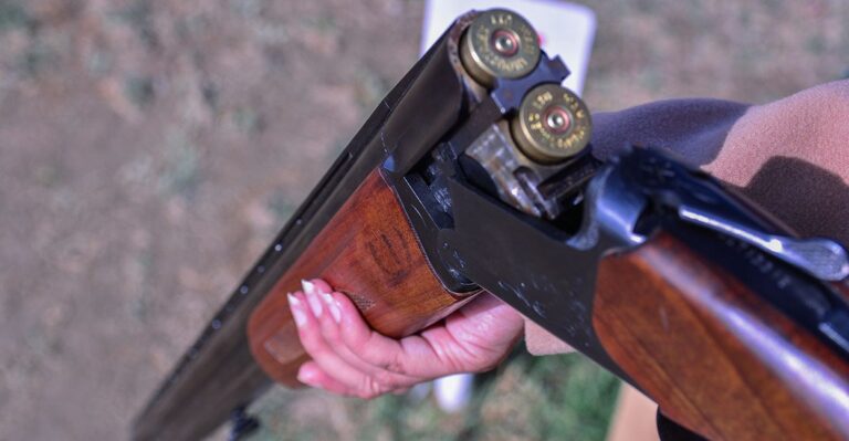 Want Less Violence? Promote Gun Ownership