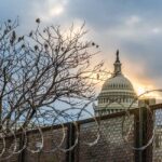 The World Goes on While America Sleeps