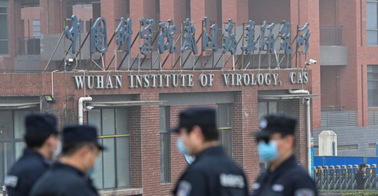 US Grant to Wuhan Lab on Bat-Based Coronaviruses Didn’t Get Review, NIH Says