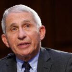 Fauci Must Explain Why Oversight Bypassed for Funding to Wuhan Lab, Congressman Says