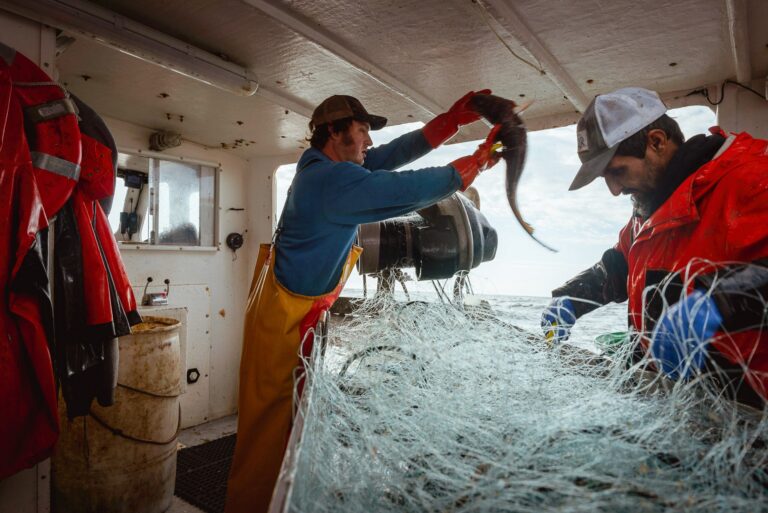 ‘Make America Fish Again’ Campaign Urges Policy Review