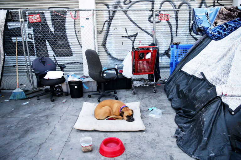 A dog sitting on its bed on the concrete outside on Skid Row surrounded by trash.