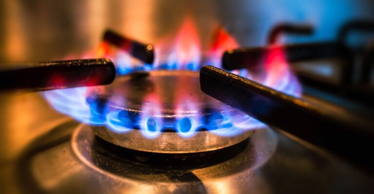 A Modest Proposal on Where Tyrants Can Put Their Gas Bans