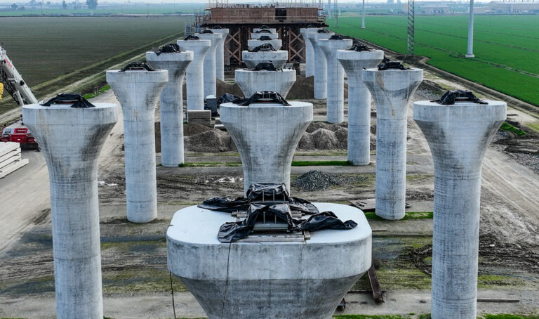 The unfinished high speed rail concrete columns stand in a vast green field.