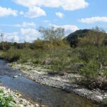 San Juan Creek in Caspers Wilderness Park in southern California.