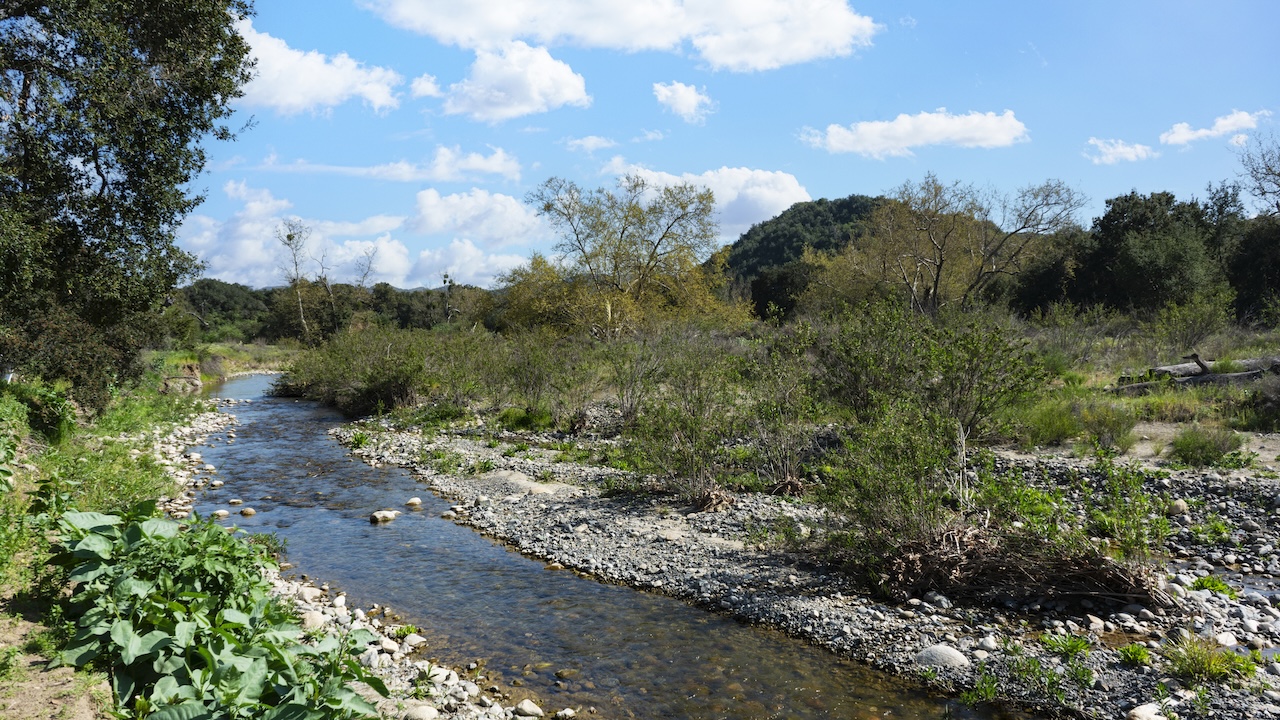 California Spends Over $20 Million to Save Endangered Trout—Then Sprays Poison in Their Creek