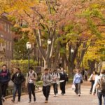 Students talking on a path in the fall