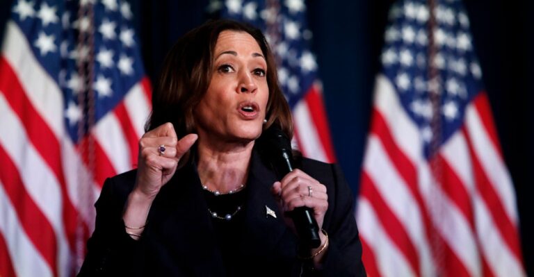 Dem Convention Expert Says There’s ‘No Time’ for Another Candidate to Usurp Kamala Harris