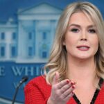 ‘Unacceptable’: Trump Spokeswoman Reaffirms War on DEI at FAA After Fatal Midair Collision