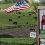 Cattle pasture at Jet Produce and Meats on April 23, 2025 in Leavenworth, KS. Jacob Thomas and his wife Jennifer, of Leavenworth KS, farm about 500 acres NW of Kansas city, a family farm operation that has been there for over 50 years.(Ricky Carioti/The Washington Post/Getty Images)