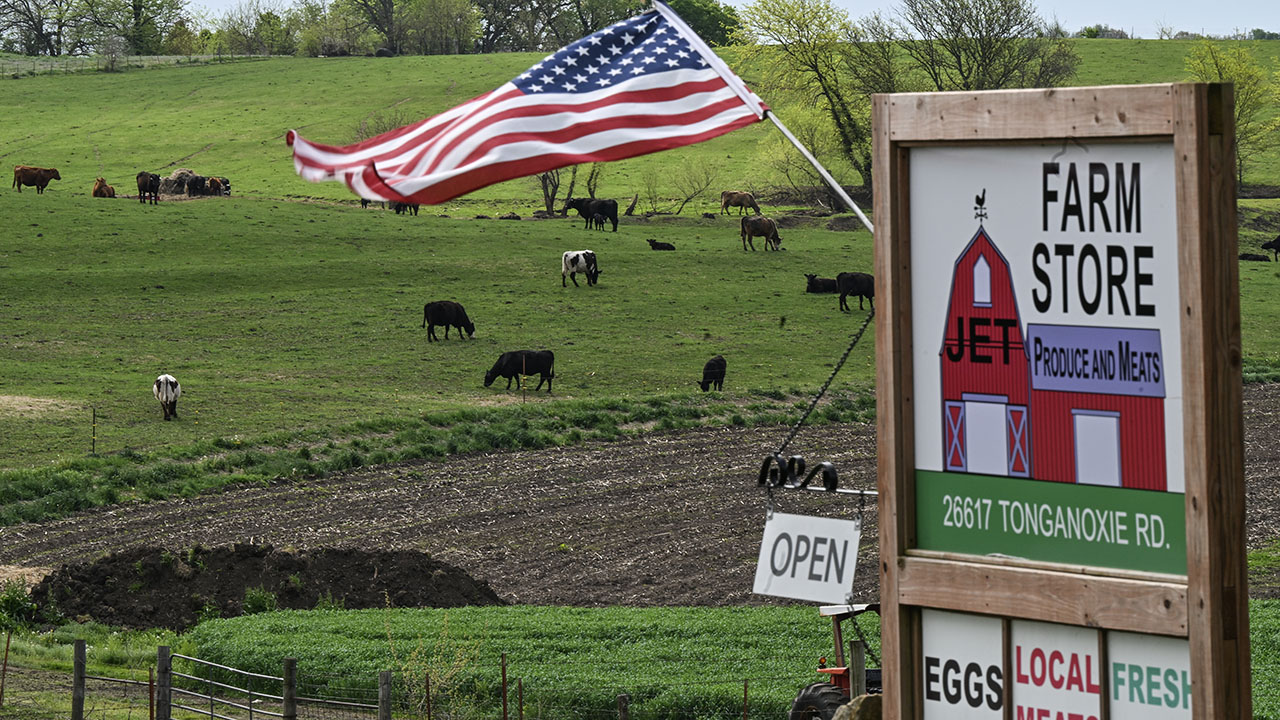 Cattle pasture at Jet Produce and Meats on April 23, 2025 in Leavenworth, KS. Jacob Thomas and his wife Jennifer, of Leavenworth KS, farm about 500 acres NW of Kansas city, a family farm operation that has been there for over 50 years.(Ricky Carioti/The Washington Post/Getty Images)