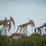Several oil pumpjacks are operating in a field under a blue sky.