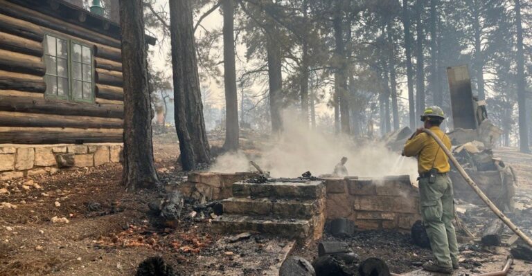 Playing With Fire: In Defense of Controlled Burns