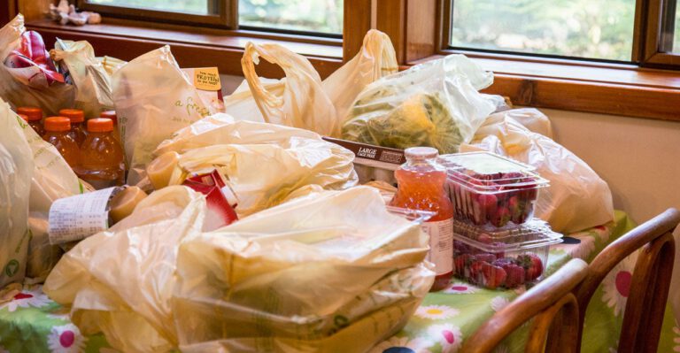 New York Poised to Ban Plastic Bags