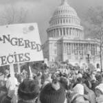 Poll: 71% of Americans Want Limits on Abortion, Rejecting Central Tenet of Roe v. Wade