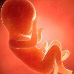 Pro-Life Experts Warn Leftists Are Using Texas Woman's Abortion Battle as 'Highly Public Flashpoint'