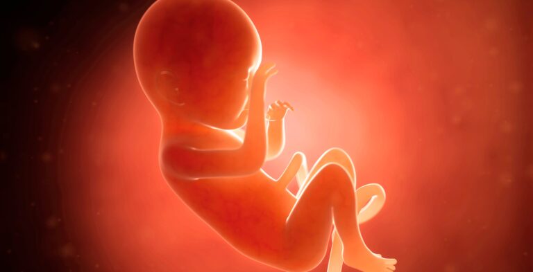 Pro-Life Experts Warn Leftists Are Using Texas Woman’s Abortion Battle as ‘Highly Public Flashpoint’