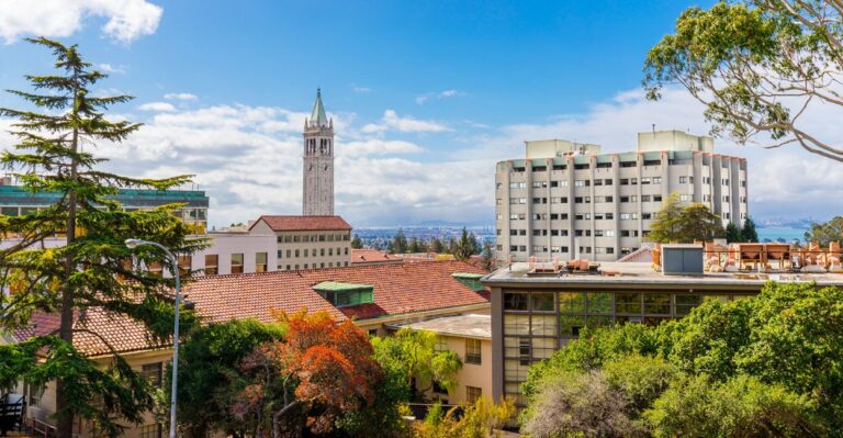 Felony Charges Filed Against Man Who Allegedly Punched Conservative Activist at UC Berkeley